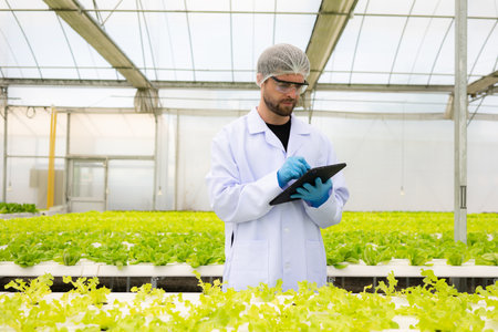 Scientists are conducting research and development on the cultivation of organic vegetables in a closed farm.の写真素材