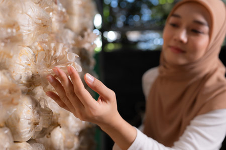 Young asian muslim female scientist research work at mushroom factory, collecting mature mushrooms in mushroom house for laboratory experiments.の写真素材