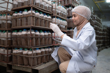 Young asian muslim female scientist doing research at a mushroom factory, investigating the growth...