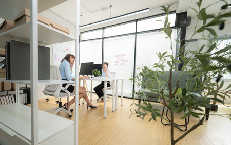 In a contemporary office, two young woman entrepreneurs are on a mission to generate ideas and establish a business projectの写真素材