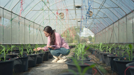 Portrait of young people examining plants in a greenhouse, learning about sustainable farming and plant healthの写真素材