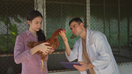 On a chicken farm, a teenager and a veterinarian are monitoring the hen growthの写真素材