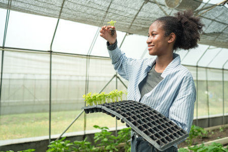 Portrait of young people examining lettuce plants in a greenhouse, learning about sustainable...