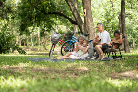Happy Asian grandparents enjoying a picnic with their granddaughter in a green park, laughing and...
