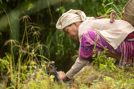 Smiling Asian rural woman collecting fresh water from a natural stream, symbolizing sustainable...