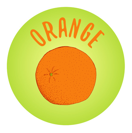 Orange on green background sketch vector illustrationのイラスト素材