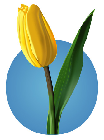 Yellow tulips (vector mesh)のイラスト素材