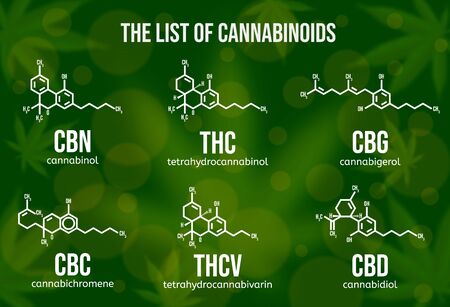 Realistic vector illustration of cannabinoid compounds. Chemical structure of cannabis components.のイラスト素材