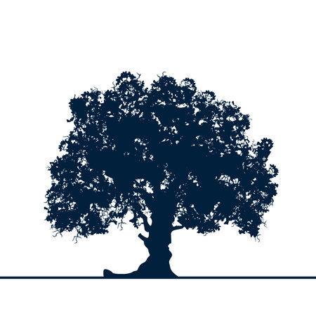 A tree silhouette isolated on white background.のイラスト素材