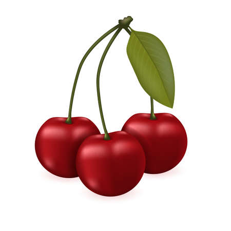 Three cherrys with a leaf, isolated vector illustration. Realistic berriesのイラスト素材