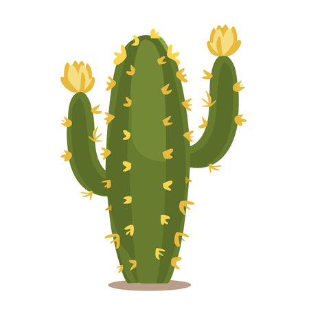 Green cactus with yellow flowers illustration.のイラスト素材