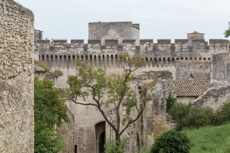 Medieval castle walls of Fort Saint-Andre in town of Villeneuve les Avignon (Languedoc-Roussillon, France)のeditorial素材