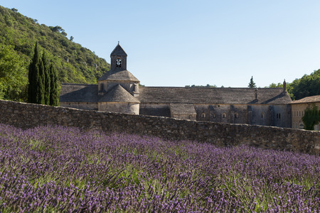 Abbey and Monastery of Senanque with Rows of Lavender, Vaucluse, Provence, Franceのeditorial素材