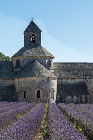 Abbey and Monastery of Senanque with Rows of Lavender, Provence, Franceのeditorial素材