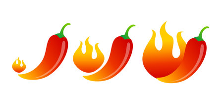 Vector illustration of chilli pepper and flame. Vector set icons of red chili pepper with fire on isolated background. Middle, medium and hot spicy.のイラスト素材