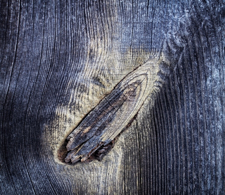 Beautiful brown wood panel background or textureの写真素材