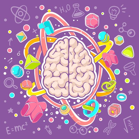 Vector colorful illustration of model of human brain top view on purple background. Hand draw line art design for web, site, advertising, banner, poster, board, brochure and print.のイラスト素材