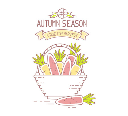 Agribusiness. Vector illustration of wicker basket filled with orange tasty carrots isolated on white background. Harvest time. Autumn season. Thin line art flat design of harvest of carrot for farming and agricultural themeのイラスト素材