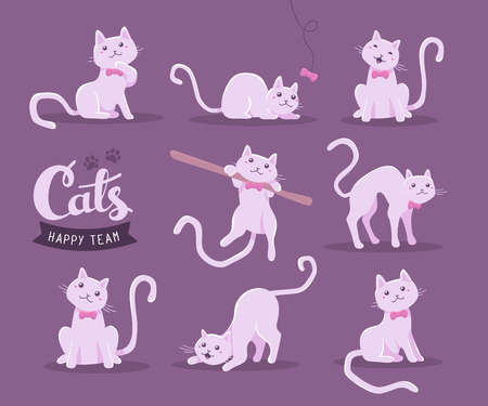 Vector collection of illustration of cute cat in various poses with pink bow and text with cat paw prints on dark background. Flat style design for greeting card, poster, web, site, banner, sticker, logoのイラスト素材