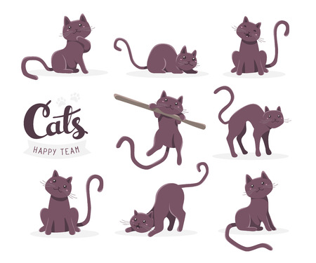 Vector collection of illustration of cute dark cat in various poses and text with cat paw prints on white background. Flat style design for greeting card, poster, web, site, banner, sticker, logoのイラスト素材