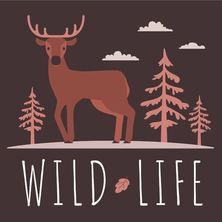 Vector illustration of beautiful male brown deer with horn on dark background. Flat style design of animal deer in forest of fir tree for web, site, banner, posterのイラスト素材