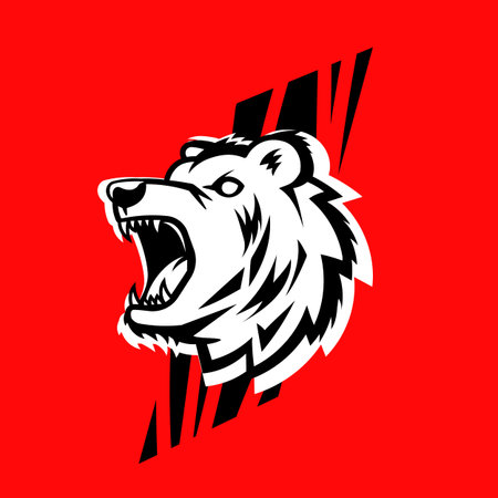 Vector growling bear head  on red background. Line art flat style design of angry white animal bear...