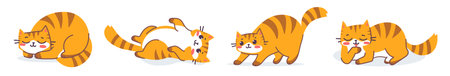 Vector set of animal tiger cat in different pose. Flat line art style design of illustration of happy cute striped red cat character on white color background. Symbol of New Year 2022 for web, greeting card, bannerのイラスト素材