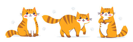 Flat line art style design of striped red cat in different pose. Vector set of illustration of happy cute animal tiger cat character on white color background. Symbol of New Year 2022 for web, greeting card, bannerのイラスト素材