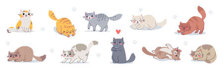 Vector set of illustration with happy cute different cat character on white color background. Flat line art style design of group of animal cat in different pose for web, greeting card, banner, stickerのイラスト素材