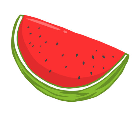 Vector illustration of red and green watermelon berry on white color background. Flat line art style design of slice of watermelon for web, banner, poster, printのイラスト素材