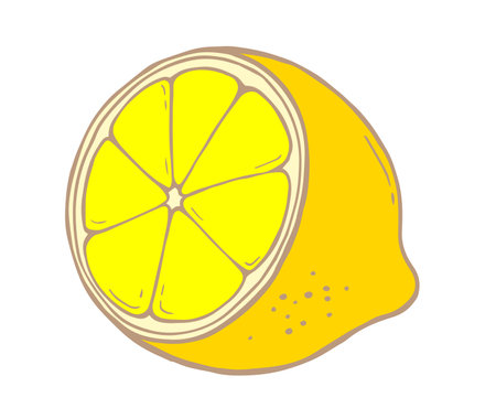 Vector illustration of yellow lemon fruit on white color background. Flat line art style design of cut lemon for web, banner, poster, printのイラスト素材