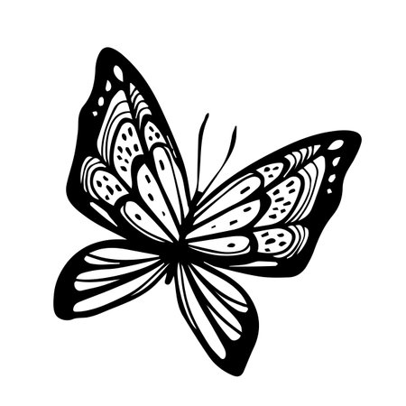 Vector illustration of beautiful butterfly with wing on white color background. Flat line art style design of black and white flying butterfly for web, banner, poster, printのイラスト素材