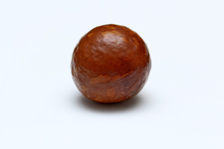 macadamia nutsの写真素材