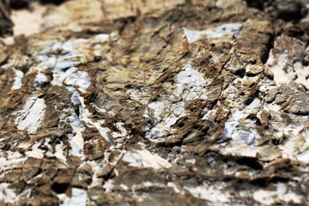 Rough Stone Rock Background Texture