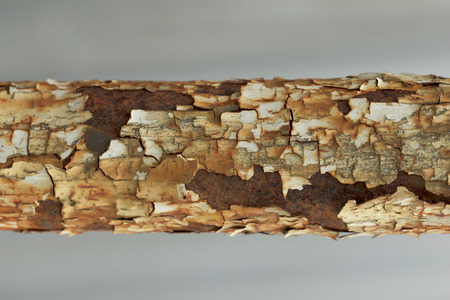 Old rusty metal textureの写真素材