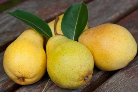 Juicy pear and pear leavesの写真素材