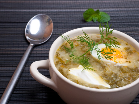 Green sorrel borscht with egg and creamの写真素材