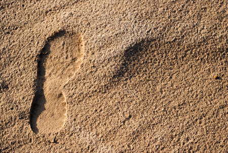 Closeup of sand in the small desert in Siedlec, Polandの写真素材