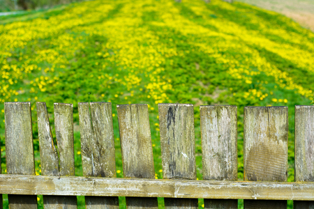Old wooden fence with a green field behind - shallow depth of fieldの写真素材