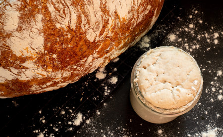 Loaf of artisan wheat and rye bread with graham flour. Sourdough starter on dark background. Top...