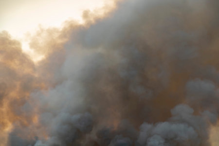 raging smoke pattern background of fire burn in grass fields, forests and black and white smoke to...