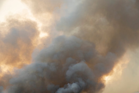 raging smoke pattern background of fire burn in grass fields, forests and black and white smoke to...