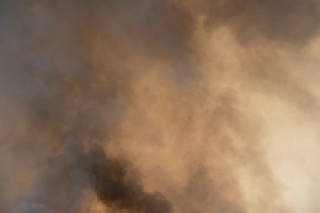 raging smoke pattern background of fire burn in grass fields, forests and black and white smoke to...