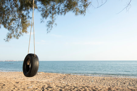 Tire swings hang from trees on the sandy beach. With a background of blue sea and sky with coludsの写真素材