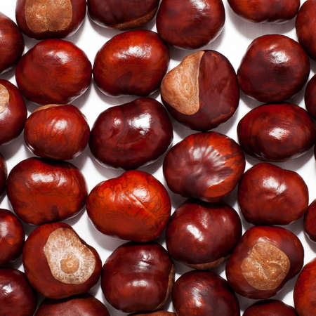 texture of raw brown chestnuts background.の写真素材
