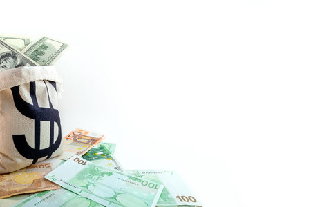 panorama pouch with dollar sign on us dollar and euro banknotes