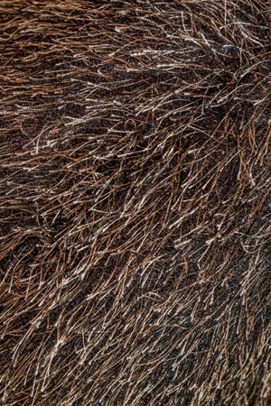 brown toy hair texture fabric faux fur