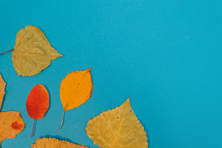 Autumn mockup with yellow, red leaves. Fir cones and a white sheet of paper for the inscription.