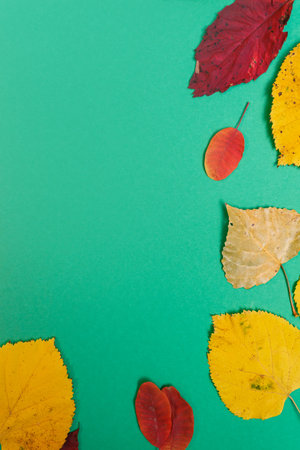 Autumn mockup with yellow, red leaves. Fir cones and a white sheet of paper for the inscription.