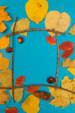 Autumn mockup with yellow, red leaves. Fir cones and a white sheet of paper for the inscription.の写真素材